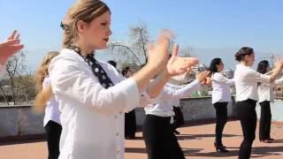 Flashmob Bienal de Sevilla 2016  La Plazuela Chile [upl. by Adranoel764]