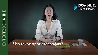 Разделяющая молекулы объединяющая людей Что такое хроматография [upl. by Zelma]