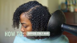 How to Diffuse Coily Hair  Stretch Diffusing  Curlsmith [upl. by Maxama59]