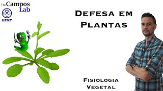 Mecanismos de Defesa em Plantas 13 O Dilema Entre Crescer x Defender [upl. by Touber297]