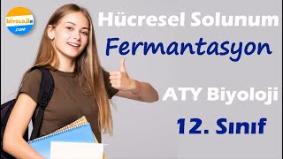 Fermantasyon  Hücresel Solunum  12 Sınıf AYT Biyoloji  Özet Tadında  2024 Güncel Müfredat [upl. by Carolyn]