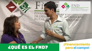 ¿QUÉ es el FND  ¡FINANCIAMIENTO para el CAMPO🤠💵🇲🇽 [upl. by Pero]