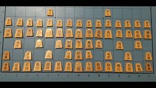 How to Play Dai Shogi 大将棋 Part One The Basics [upl. by Haral]