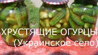 ОГУРЦЫ СО ВКУСОМ ДОЖДЯ И ГРОМА  ХРУСТЯЩИЕ И САМЫ ВКУСНЫЕ ОГУРЦЫ НА ЗИМУ [upl. by Vanda531]