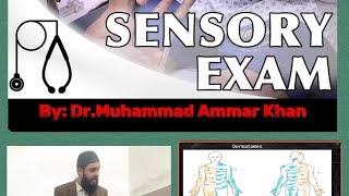 Neurological Examination Sensory System Part4 medicine neurology sensory examination mbbs [upl. by Belva]