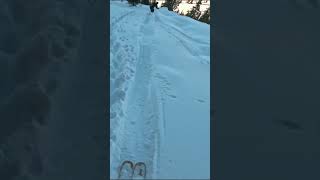 Grizzly gulch splitboarding skiing snow backcountryskiing [upl. by Anner]