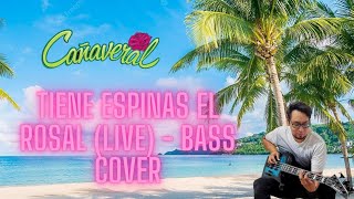 Tiene Espinas el Rosal Live  Grupo Cañaveral  Bass Cover [upl. by Eigna658]