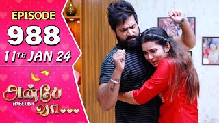 Anbe Vaa Serial  Episode 988  11th Jan 2024  Virat  Shree Gopika  Saregama TV Shows Tamil [upl. by Erdnaed]