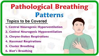 Pathological breathing  Abnormal breathing patterns  Kussmaul Cheyne stokes Biots Cluster [upl. by Pratte428]