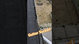 Gutter cleaning the easy way guttercleaning satisfying [upl. by Aicirtap]