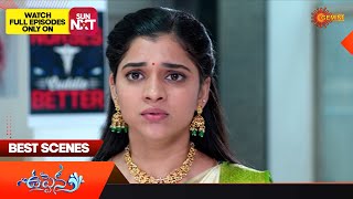 Uppena  Best Scenes  08 July 2023  Telugu Serial  Gemini TV [upl. by Macnair]