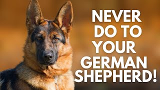 5 Things You Must Never Do to Your German Shepherd [upl. by Ahsim]