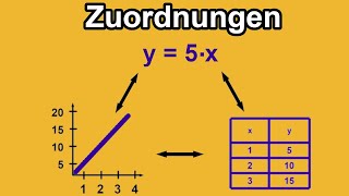 Zuordnungen Übersicht  ProportionalAntiproportional  Das erwartet dich in dieser Playlist [upl. by Aikimat]