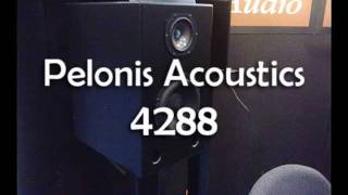 Pelonis 4288 Monitor Speakers [upl. by Ybroc]