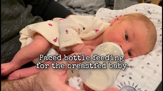 Paced bottle feeding for the breast fed baby [upl. by Ahtenek]