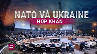 Nóng thế giới NATO và Ukraine họp khẩn sau vụ Nga tấn công bằng tên lửa đạn đạo Oreshnik  VTC Now [upl. by Alexis912]