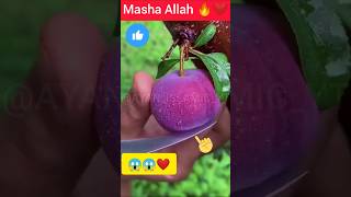 Islamic Video  Ya Nabi Salam Alaika naat  Fruit cutting video trending islamic viral [upl. by Anilad]