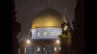 Winter Alaqsa mosque 🇵🇸🖤 freepalestine foryou [upl. by Norean902]