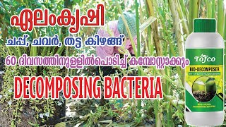 ഇനി എളുപ്പം ഉണങ്ങിയ ഇലകളും ഏല തട്ടകളും തോട്ടത്തിൽ തന്നെ കമ്പോസ്റ്റ് ആക്കാം  DECOMPOSER BACTERIA [upl. by Eerised]