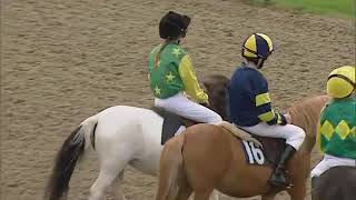 Shetland pony time at Lingfield Park [upl. by Arianie525]