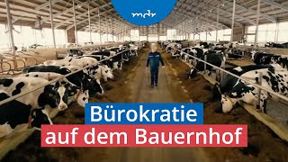 Welche Regelungen Landwirte besonders verärgern  Umschau  MDR [upl. by Photima]