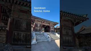 Seoraksan travel korea koreatravels koreantemple autumntrip seoraksan food [upl. by Laamaj]