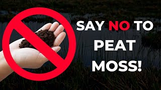 Why I Stopped Using Peat Moss [upl. by Atrim]