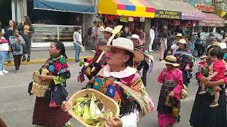 Desfile de la feria de Ixtlahuaca de Rayón estado de México [upl. by Lilian]