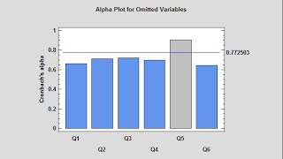 Item Reliability Analysis [upl. by Atinahc]