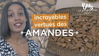 Noix amandes… les fruits à coques  intérêts pour une meilleure santé pums [upl. by Ninon64]