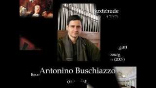 Buxtehude Toccata in d minor BuxWV 155 Antonino Buschiazzo  organ [upl. by Alyahc]