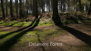 Delamere Forest Park  Documentary [upl. by Ailene]