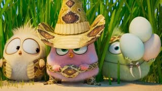 The Angry Birds Movie 2 2019  Wittle Sisters full Scene  Movie clips  Best Scens [upl. by Fawcette]