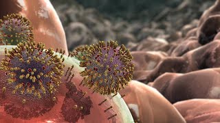 Influenza Animation [upl. by Anahir]