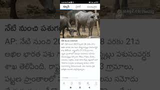 animal count in indiafunny Shorts Short Viral TeluguAUTOnews Telugu reels [upl. by Rahas]