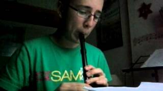 Carraroe Jig on tin whistle [upl. by Elleyoj568]