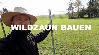 Wie du einen Wildzaun aufbaust Meine ANLEITUNG [upl. by Joye]