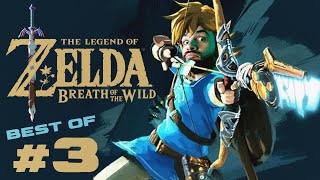 Il suffit de se plaindre  Best Of Zelda BOTW 3 [upl. by Ebsen684]