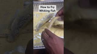 How to fry the best whiting fish whiting cooking recipe [upl. by Eisenstark]