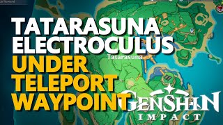 Tatarasuna Electroculus Under Teleport Waypoint Genshin Impact [upl. by Tammi]