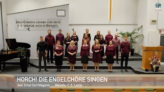 Horch Die Engelchöre singen [upl. by Malcom]