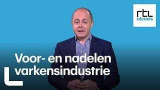 Nederland heeft een gigantische varkensvleesindustrie Wat zijn de voor en nadelen  RTL NIEUWS [upl. by Nnaylrebmik595]