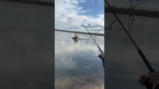 chasing redfin at dock lake [upl. by Mokas]