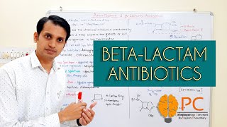 Antibiotics Basic Introduction and Classifications  BetaLactam Antibiotics and their Chemistry [upl. by Ahsikrats]