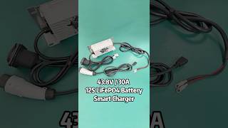 438V 30A 12S LiFePO4 Battery On Board Charger lithiumbatterycharger batterycharger diy tech [upl. by Breana876]