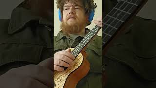 Rodriguez  Crucify Your Mind  Acoustic Covers Without Confidence pt4 music ukulele [upl. by Tertia]