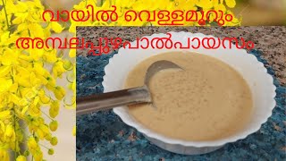 ഇത്ര എളുപ്പത്തിൽ ഒരു പാൽപായസമോ Vishu special palpayasamAmbalapuzha palpayasampink palpayasam [upl. by Elyl201]