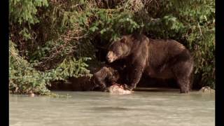 Voyage au coeur de la Sibérie  Documentaire [upl. by Oba]