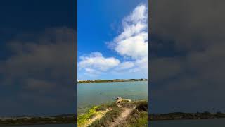 Nice weather for fishing🎣 geraldton nature fish beach riverfish fishing [upl. by Valeta803]