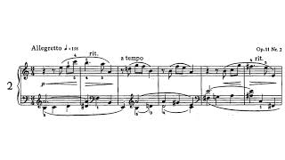 Scriabin Prelude op11 No2 [upl. by Ellenaj]